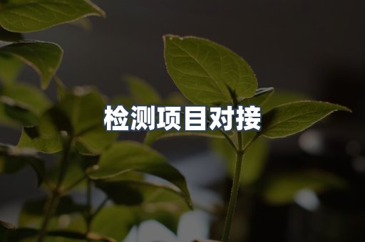 检测项目对接